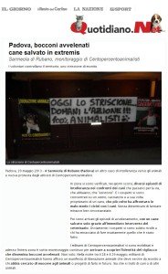 Quotidiano net 29 maggio 2013