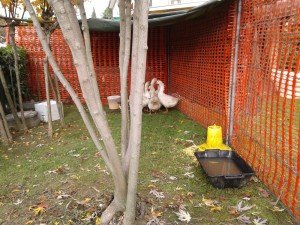 20131110_101301