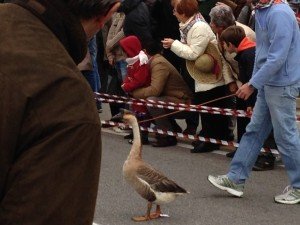 IMG_1243