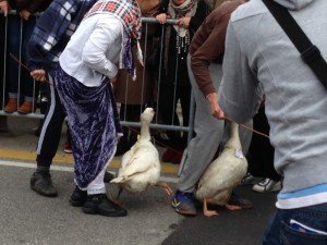 IMG_1246