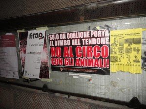 circo (11)