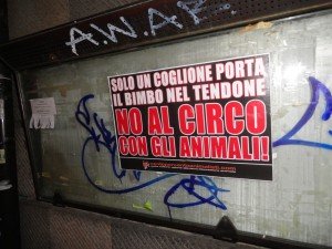 circo (12)