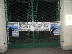 Provincia di treviso (1)