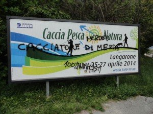 Longarone (39)