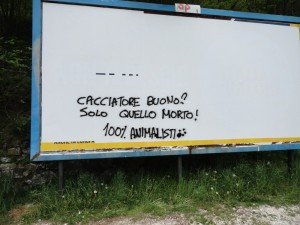 Longarone (40)