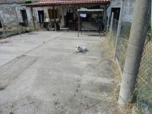 DSC00097