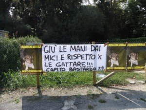 Stra (3)