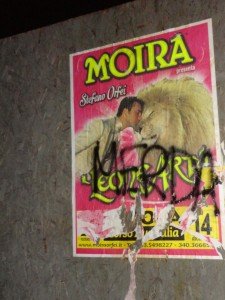 moira (2)