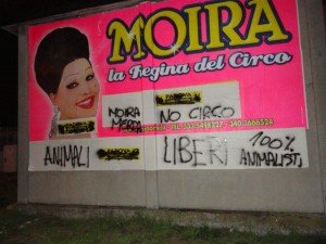 moira (4)