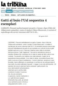 tribuna di Treviso 8 agosto 2015
