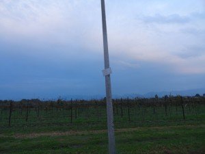 Mareno di Piave (6)