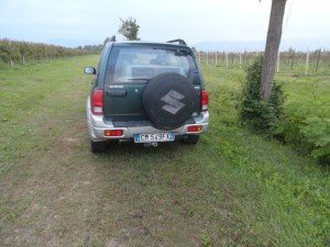 Mareno di Piave (7)