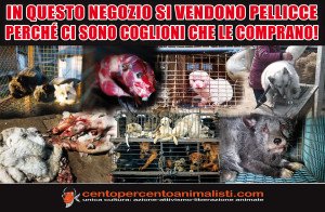 pellicce 2016