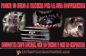 Kopi Luwak
