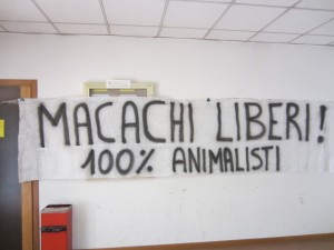 Macachi UNIFE (2)