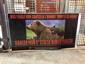 Daniza (2)