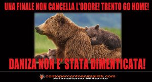 Daniza