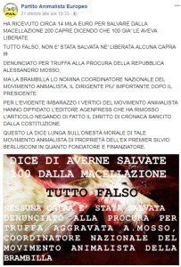 Stefano Fuccelli 1