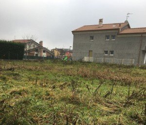 Galli Piove di Sacco (3)