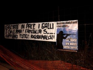 Galli Piove di sacco (3)