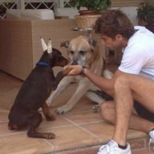 Filipppo Cane GF